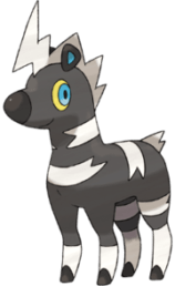 Shimama2373032527-iaza